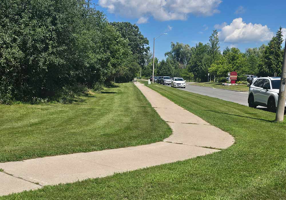 Commercial Grounds Detail by Limestone Land Care